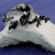 Neptunite (x 3cm) – San Benito County, USA