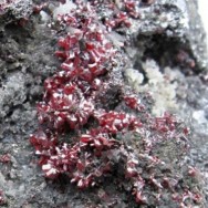 Proustite – Imiter mine, Morocco